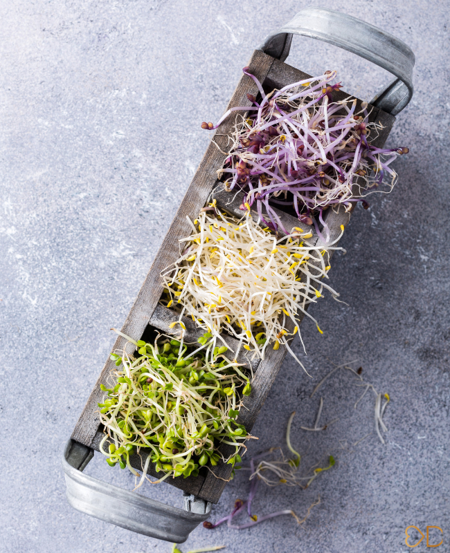 Das Geheimnis idealer Lebensmittel