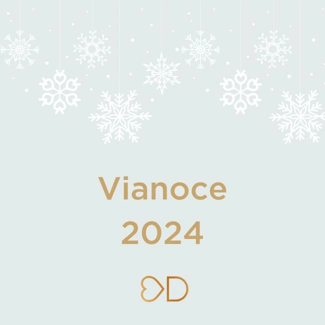 Vianoce 2024 a Nový rok