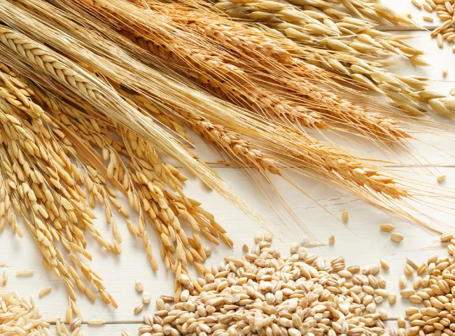 Zdravotné benefity celozrnného pečiva