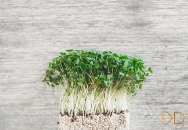 Účinní jarní zabijaci kilojoulov