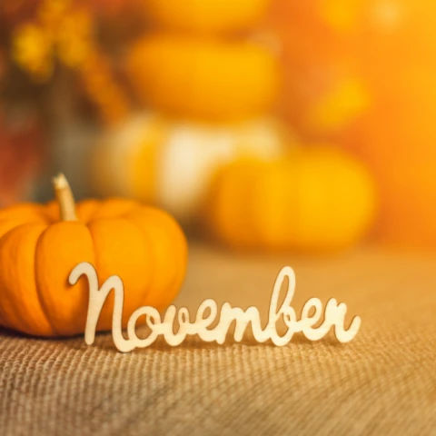 Rozvoz stravy počas novembrových sviatkov