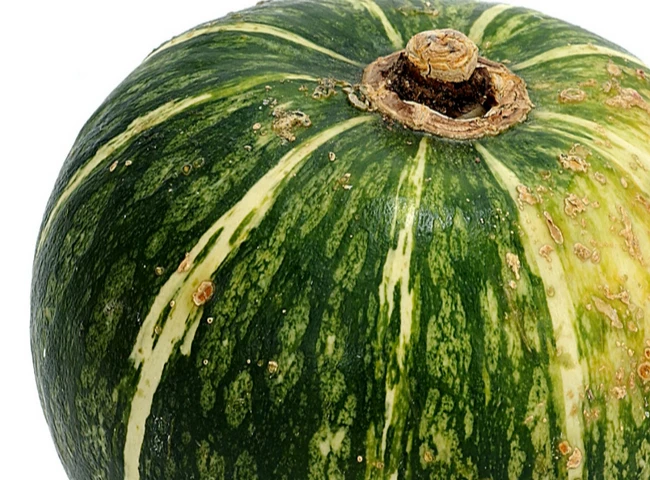 Tekvica a jej zdravotné benefity