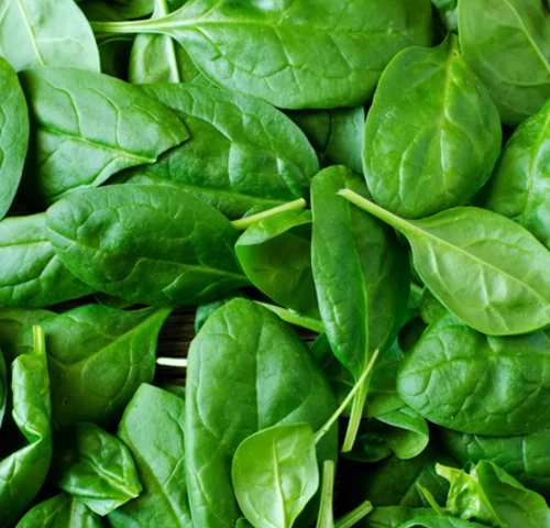 Zelená lekárnička a vitamínová bomba v jednom..