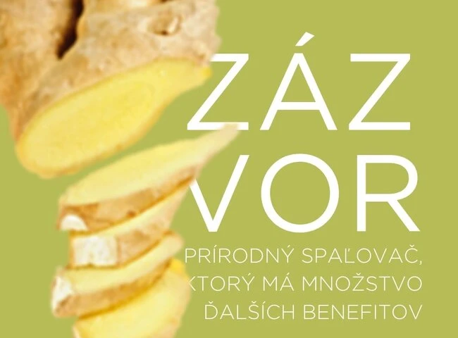 Tukožrút zázvor alebo ako schudnúť efektívne